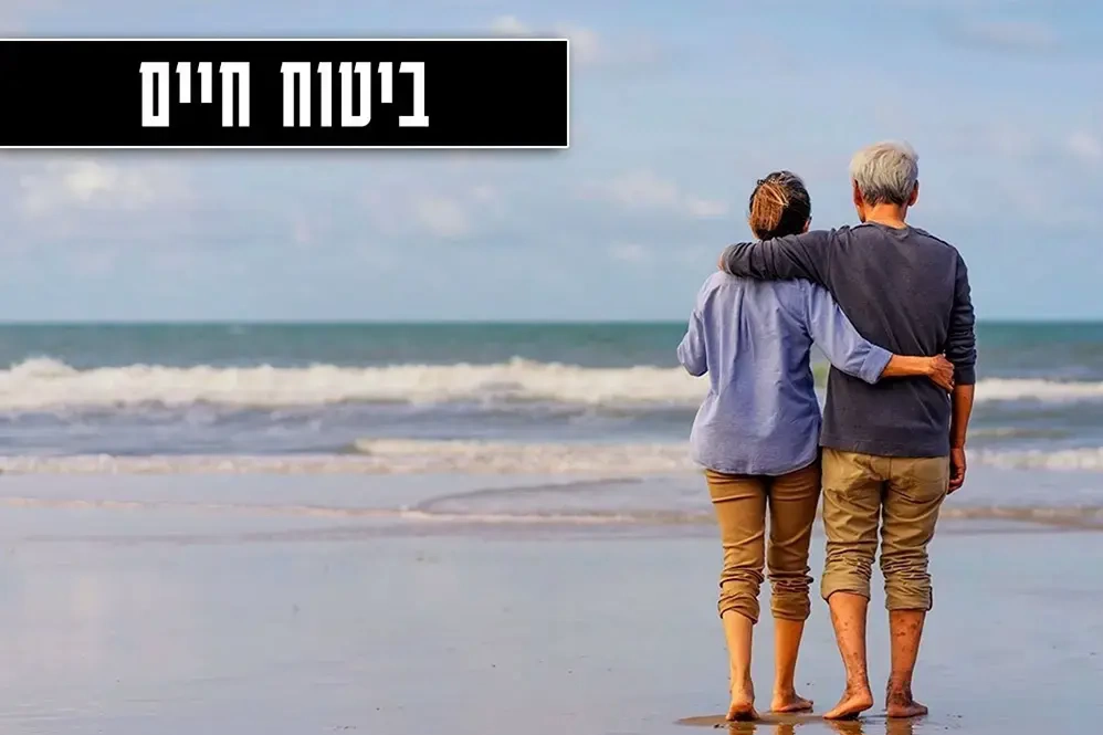 ביטוח חיים, גרסת תמונה של מחשב