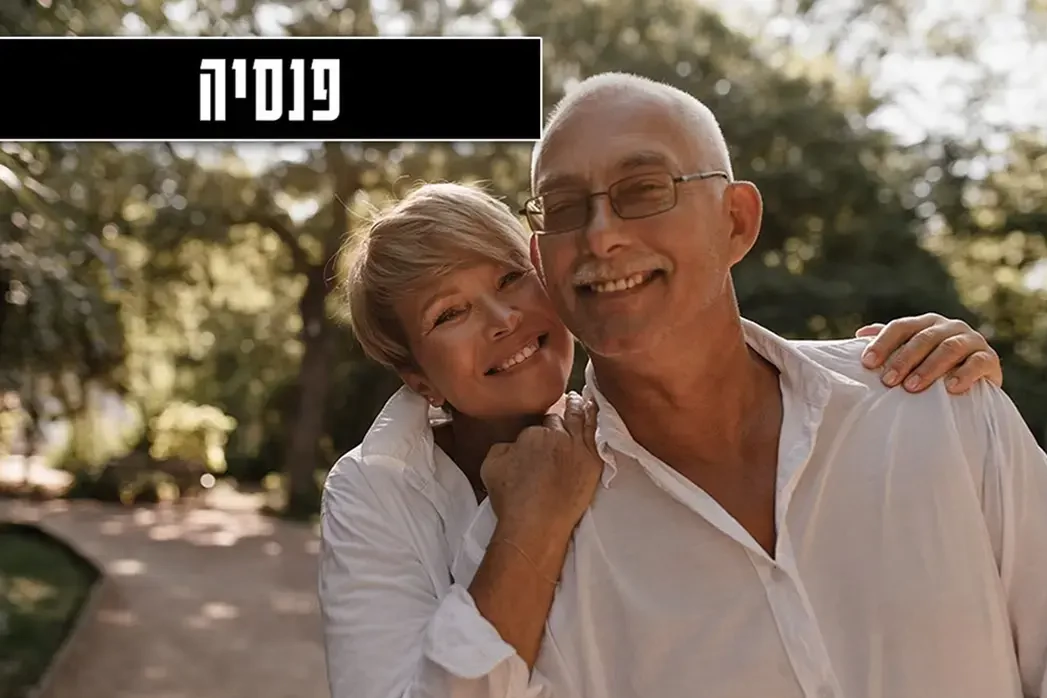 פנסיה, גרסת תמונה של מחשב